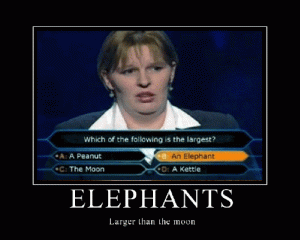 elephants-larger-than-moon