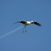 2011-04-11_0945_001 2011-04-11_0945_001