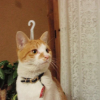2011-04-11_0947 2011-04-11_0947