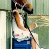 2011-04-11_0952_001 2011-04-11_0952_001