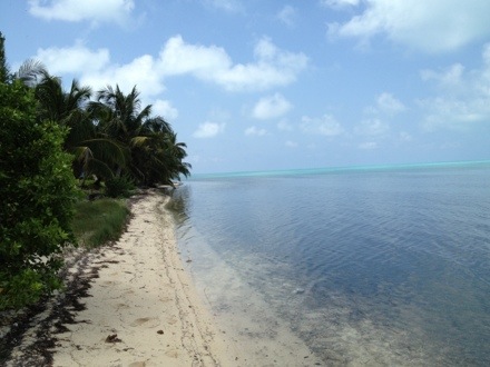 20130227-194745.jpg